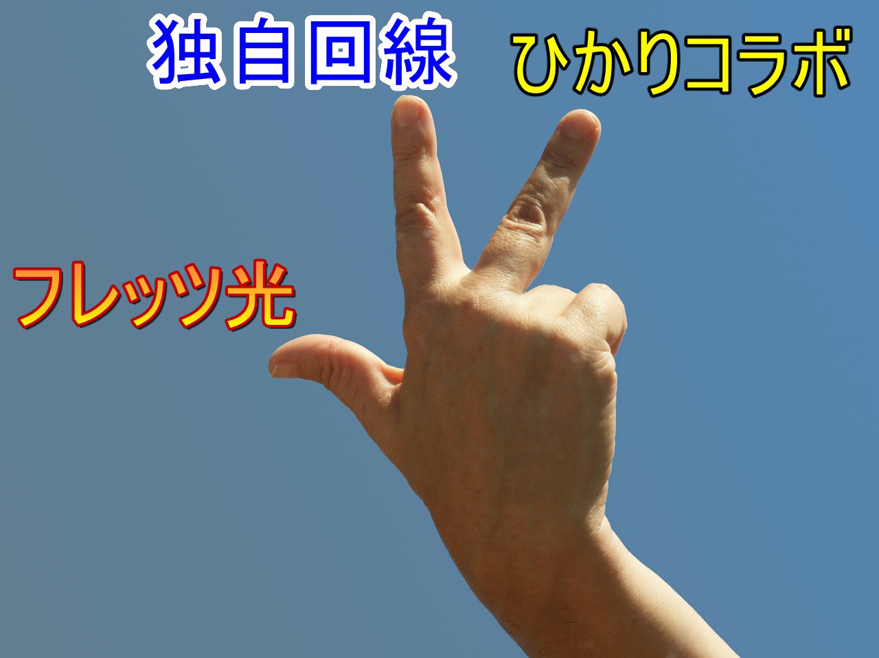 光回線 3種類